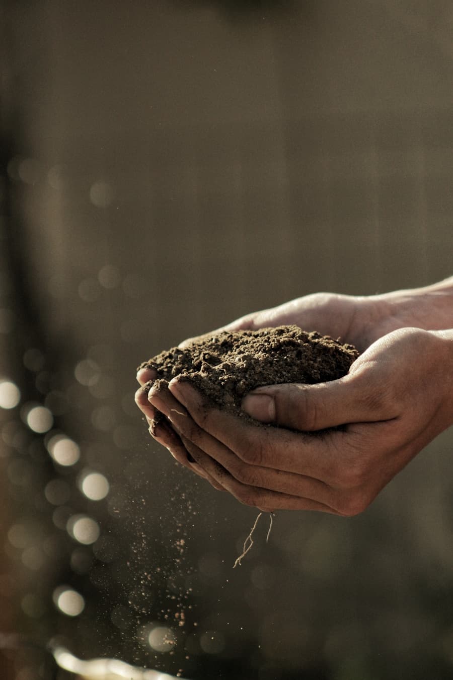 Hands holding soil — the gap between research and field reality